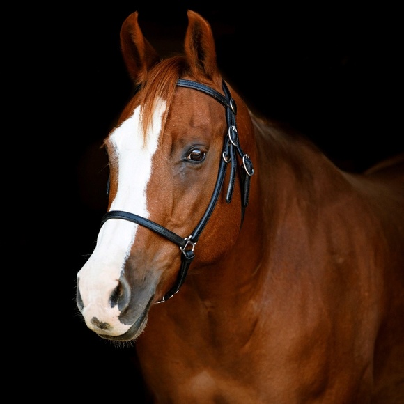 Meet your Posher, Tracy - Picture 1 of 1